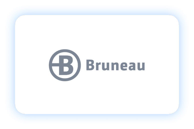 Bruneau