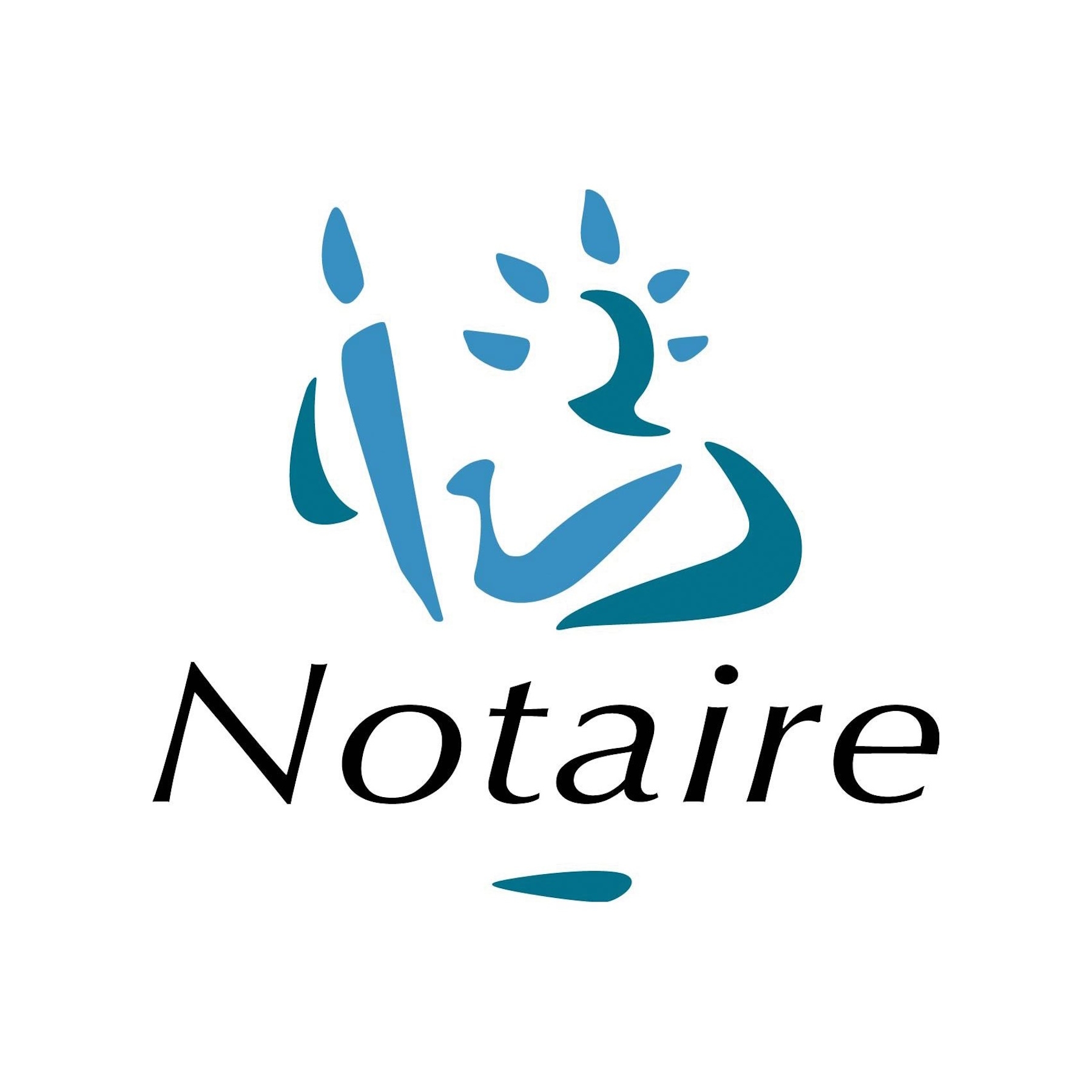 La Nouvelle Sirolaise de Construction